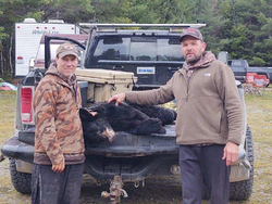 Maine Hunting Trophy: Black Bear